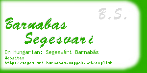 barnabas segesvari business card